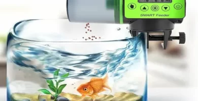 Dispensador de comida automático peces