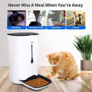 comedero puppy kitty para gatos