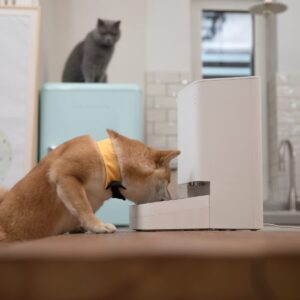 Comedero para mascotas Xiaomi Smart Pet Food Feeder