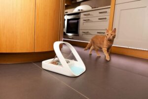 SureFeed Comedero automático con microchip
