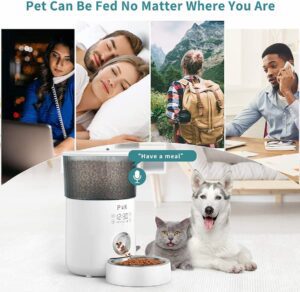 Comedero automático perros puppy kitty m80