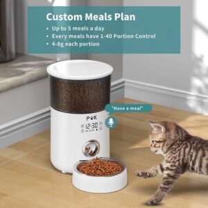 puppy kitty m80 comederp automatico gatos